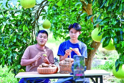 完美体育直播电商：出现新趋势亟待更规范