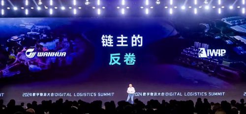 老翟2024数字物流大会演讲实录(图7)