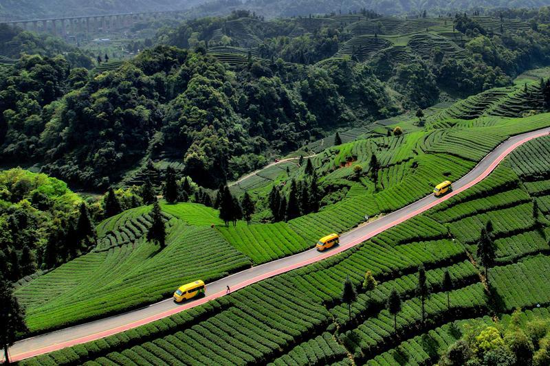 全省首例！雅安市名山区“快递进村”工作入选全国首批典型案例(图3)