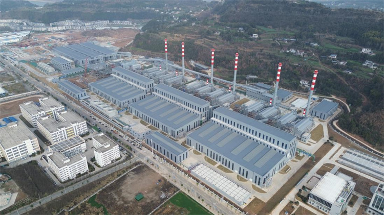 7793亿元！四川苍溪喜迎新年“第一签”完美体育网站(图1)