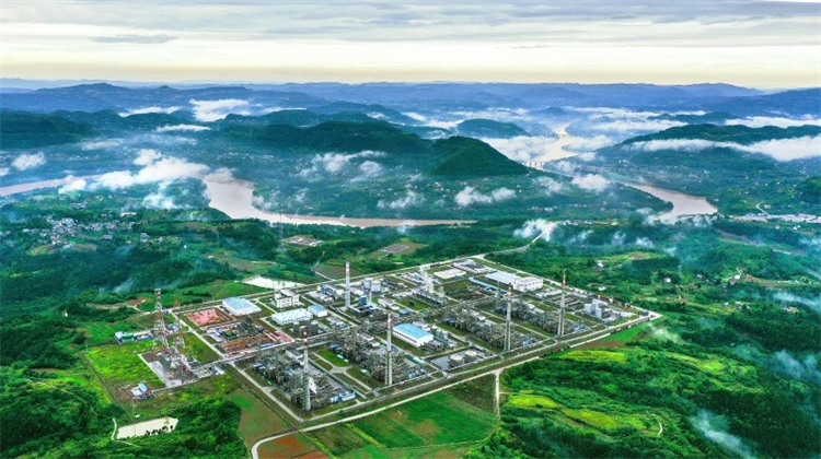 7793亿元！四川苍溪喜迎新年“第一签”完美体育网站(图2)