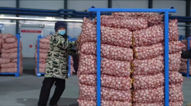 完美体育从田间到餐桌：中农七朵以大数据技术赋能仓储物流全链路升级(图2)