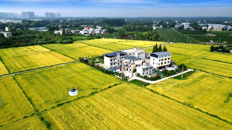 完美体育四川推进现代物流产业建圈强链打出降本增效组合拳(图1)
