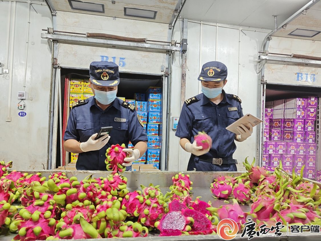 中国每完美体育网站3个进口榴莲就有一个来自这里！广西“甜蜜通道”火了(图1)