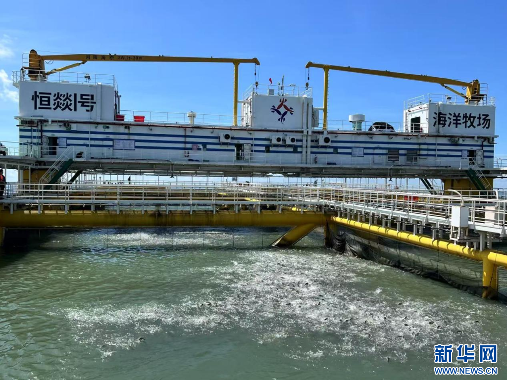 聚焦高质量发展｜湛江：深耕海洋牧场激活广东海洋经济“一池春水”(图1)