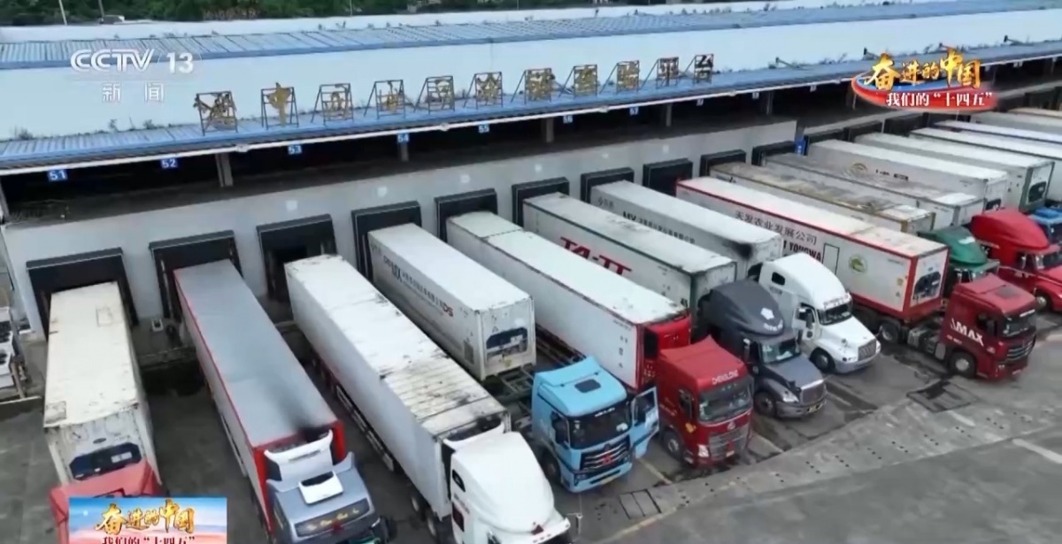 从东盟果园到你的果盘这条“甜蜜通道”太丝滑！(图1)