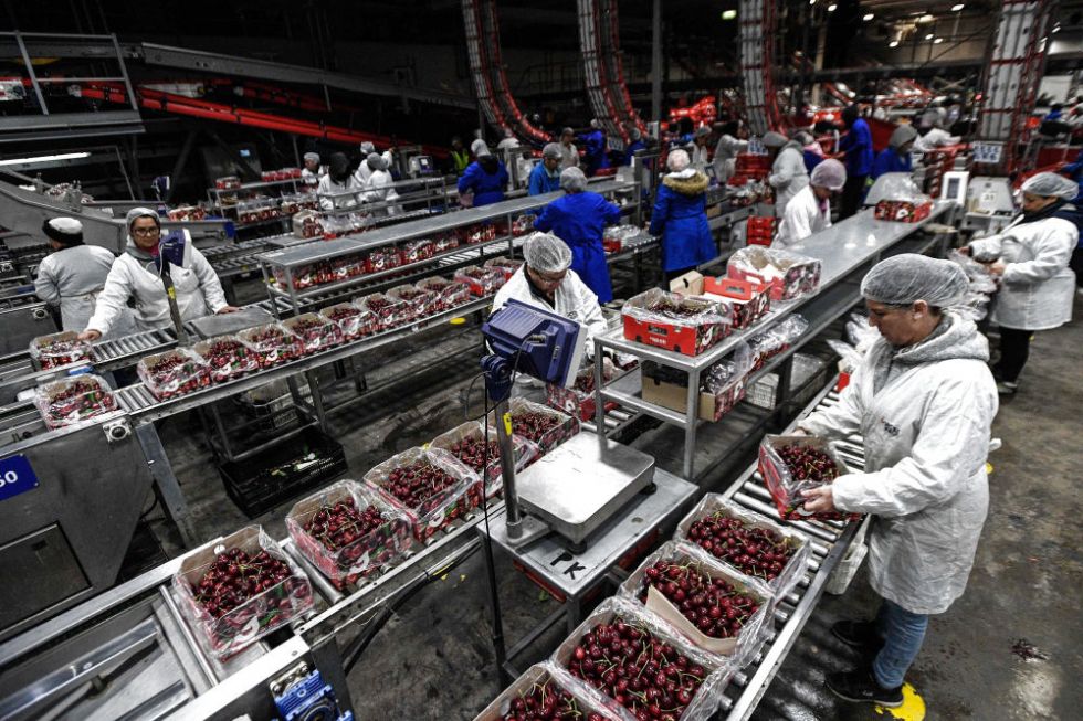 镜观·回响丨走开放包容之路共享亚太合作成果(图13)