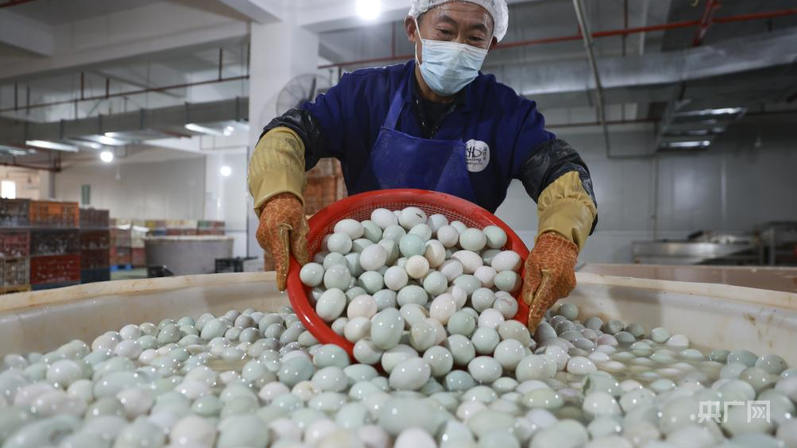 完美体育网站江西九江：“向江图强”奏响经济高质量发展强音(图4)