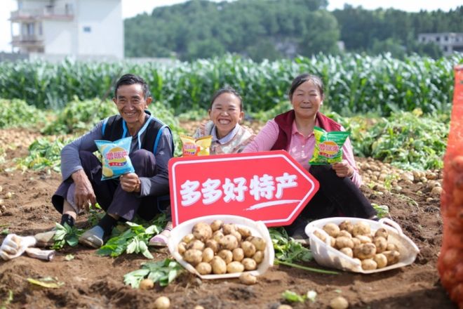 拼多多扶持新质商家万变不离“人货场”(图7)