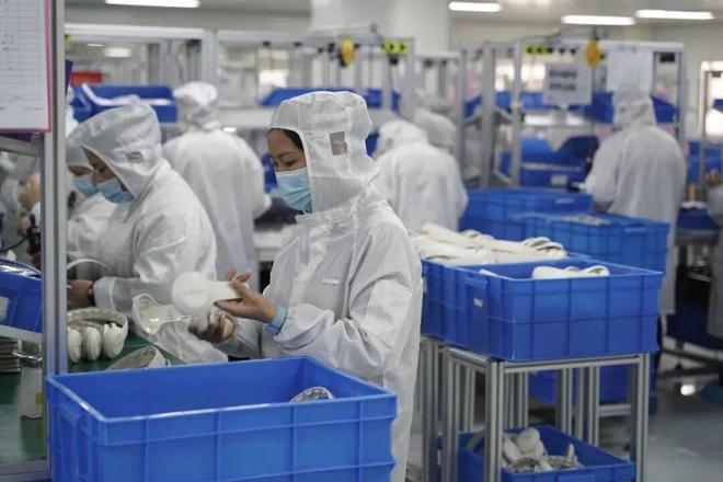 拼多多扶持新质商家万变不离“人货场”(图11)