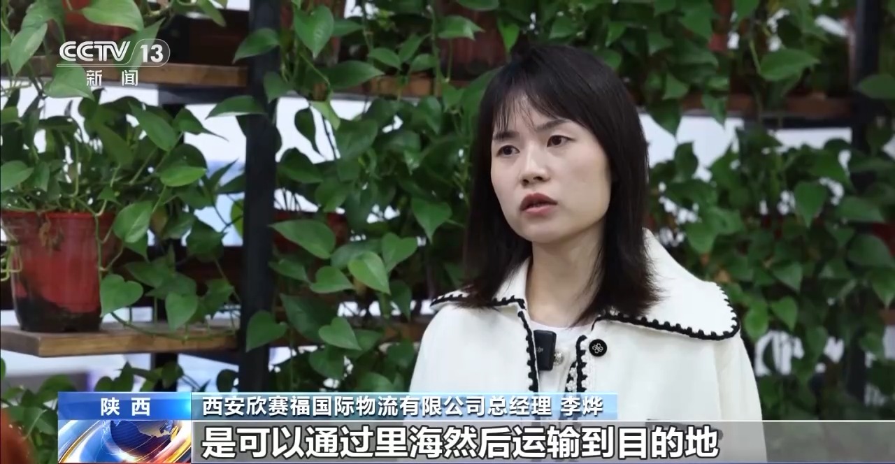 完美体育更密线路、更优服务、更高效率！新时代“钢铁驼队”正加速启程(图6)