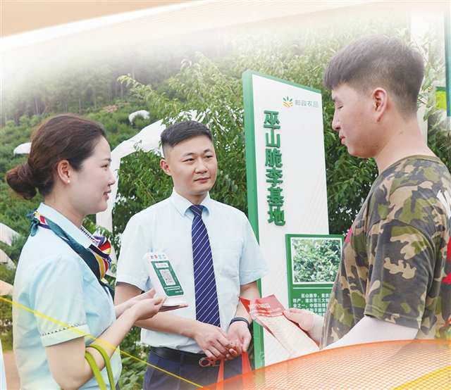 巴山渝水尽“通”途(图6)