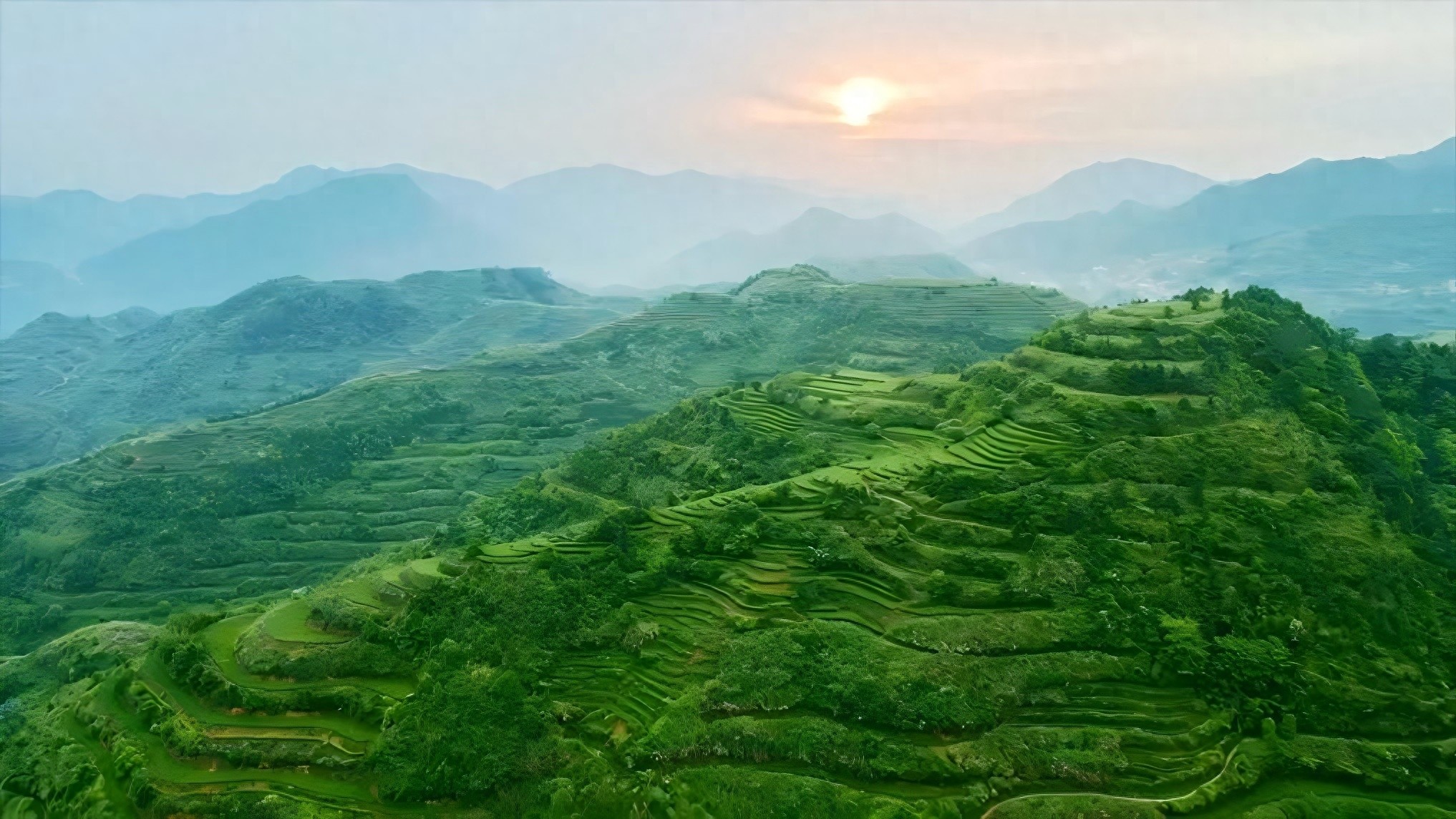 中国县域经济总量已达54万亿元特色产业集群成为发展新赛道(图1)