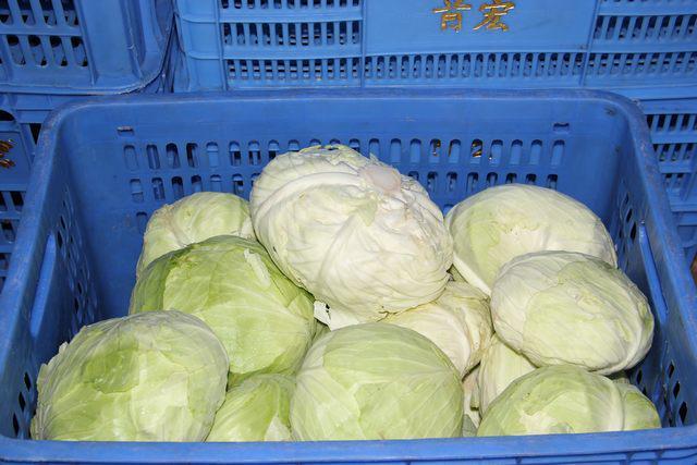 首宏蔬菜配送让您告别蔬菜配送踩坑烦恼（2024年11月）