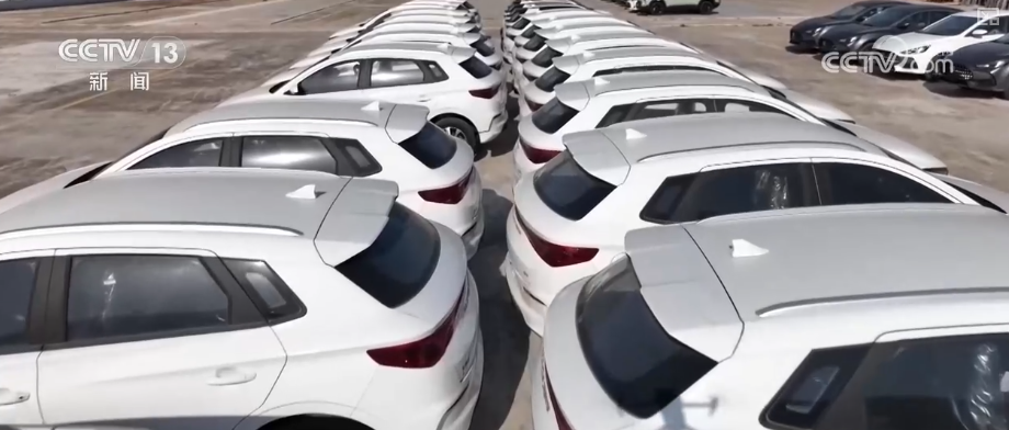 “迅完美体育网站猛增长”“进口+产业”“零突破”活力涌动！从关键词里解码区域外贸亮点(图4)