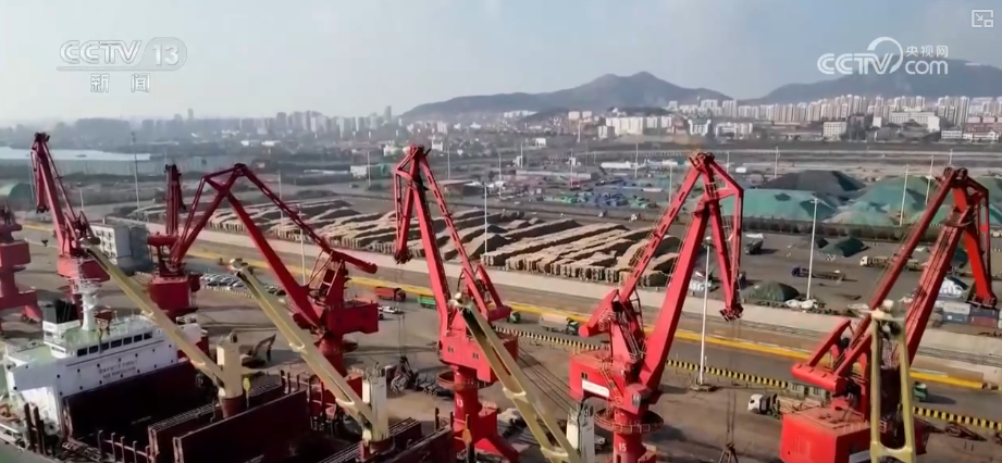 “迅完美体育网站猛增长”“进口+产业”“零突破”活力涌动！从关键词里解码区域外贸亮点(图14)