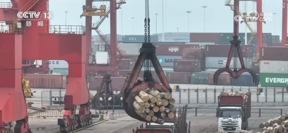 “迅完美体育网站猛增长”“进口+产业”“零突破”活力涌动！从关键词里解码区域外贸亮点(图16)