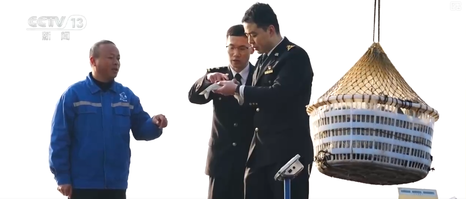 “迅完美体育网站猛增长”“进口+产业”“零突破”活力涌动！从关键词里解码区域外贸亮点(图27)