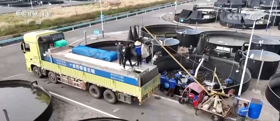 “迅完美体育网站猛增长”“进口+产业”“零突破”活力涌动！从关键词里解码区域外贸亮点(图26)