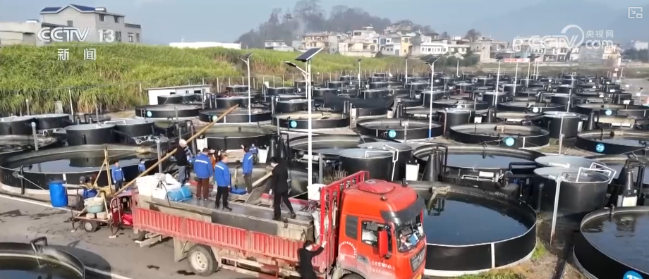 “迅完美体育网站猛增长”“进口+产业”“零突破”活力涌动！从关键词里解码区域外贸亮点(图24)