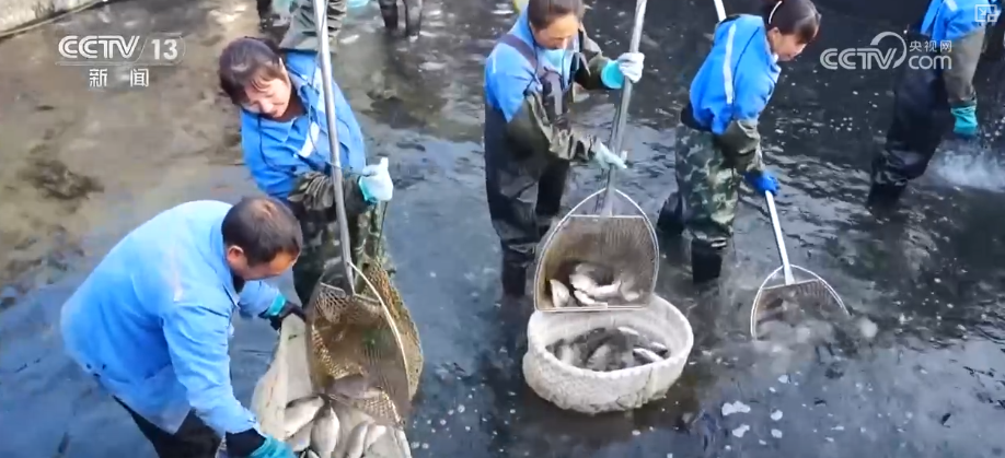 “迅完美体育网站猛增长”“进口+产业”“零突破”活力涌动！从关键词里解码区域外贸亮点(图25)