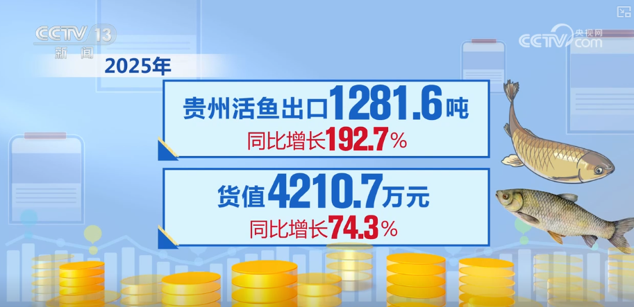 “迅完美体育网站猛增长”“进口+产业”“零突破”活力涌动！从关键词里解码区域外贸亮点(图30)