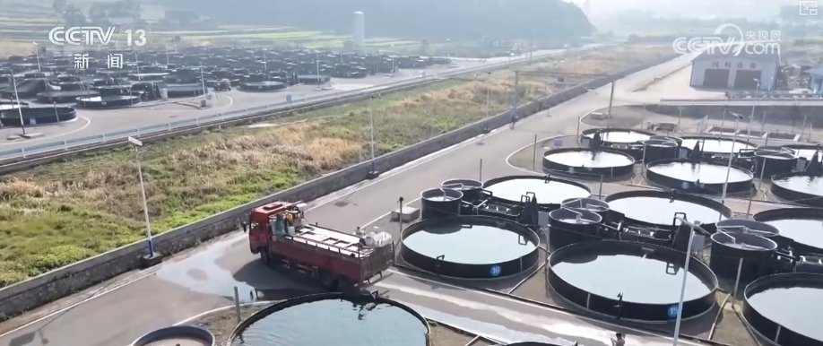 “迅完美体育网站猛增长”“进口+产业”“零突破”活力涌动！从关键词里解码区域外贸亮点(图29)