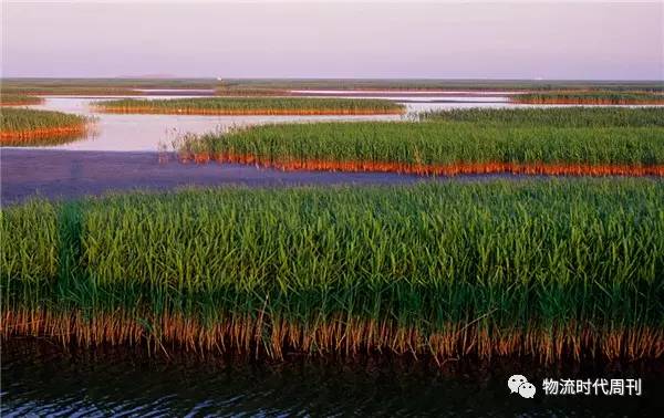 完美体育网站新增7大自贸区的59大物流发展重点(图3)